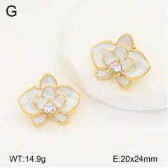 Stainless steel jewelry Earrings wholesale