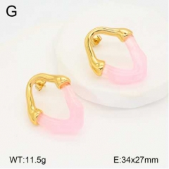 Stainless steel jewelry Earrings wholesale