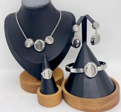 Stainless steel jewelry necklace bracelet ring Earrings Wholesale