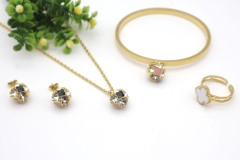 Stainless steel jewelry necklace bangle ring Earrings Wholesale