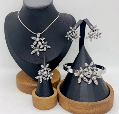 Stainless steel jewelry necklace bangle ring Earrings Wholesale