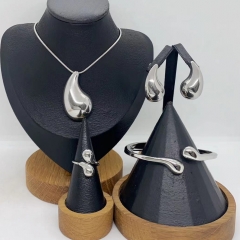 Stainless steel jewelry Necklace Earrings Bangle Ring Wholesale for women