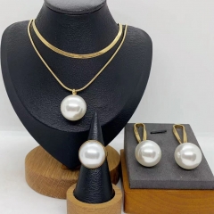 Stainless steel jewelry necklace Earrings Bracelet  Wholesale