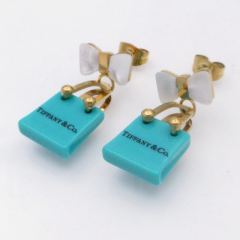 Stainless steel jewelry Earrings wholesale