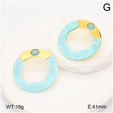 Stainless steel jewelry Earrings wholesale