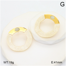 Stainless steel jewelry Earrings wholesale