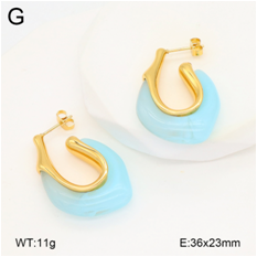 Stainless steel jewelry Earrings wholesale