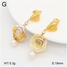 Stainless steel jewelry Earrings wholesale