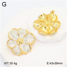 Stainless steel jewelry Earrings wholesale