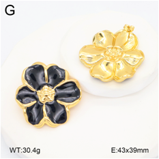 Stainless steel jewelry Earrings wholesale