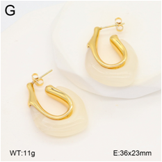 Stainless steel jewelry Earrings wholesale