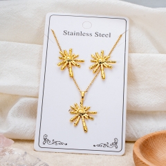 Stainless steel jewelry necklace Earrings Wholesale
