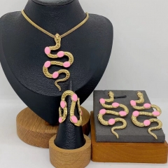 Stainless steel jewelry necklace Earrings Bracelet ring Wholesale