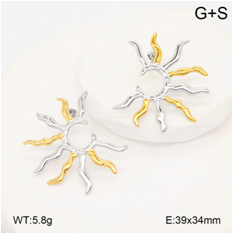 Stainless steel jewelry Earrings wholesale