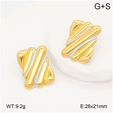 Stainless steel jewelry Earrings wholesale