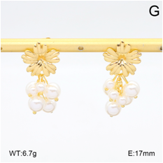 Stainless steel jewelry Earrings wholesale