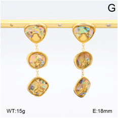 Stainless steel jewelry Earrings wholesale