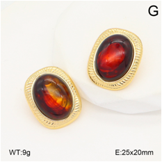 Stainless steel jewelry Earrings wholesale