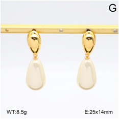 Stainless steel jewelry Earrings wholesale