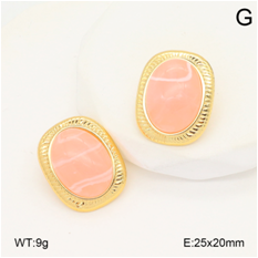 Stainless steel jewelry Earrings wholesale