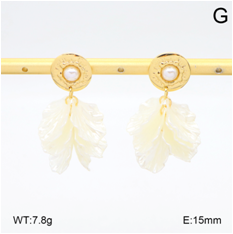 Stainless steel jewelry Earrings wholesale