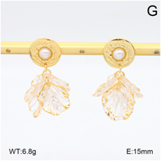 Stainless steel jewelry Earrings wholesale