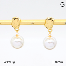 Stainless steel jewelry Earrings wholesale