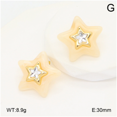 Stainless steel jewelry Earrings wholesale