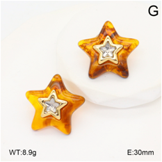 Stainless steel jewelry Earrings wholesale