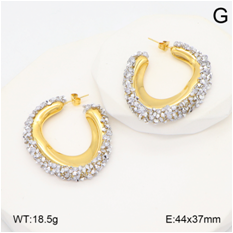 Stainless steel jewelry Earrings wholesale