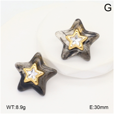 Stainless steel jewelry Earrings wholesale
