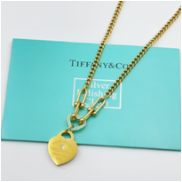 Stainless Steel Women's Necklace