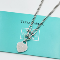 Stainless Steel Women's Necklace