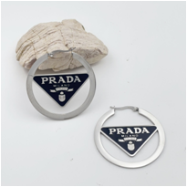 Stainless steel jewelry Earrings wholesale