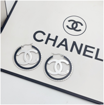 Stainless steel jewelry Earrings wholesale