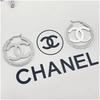 Stainless steel jewelry Earrings wholesale