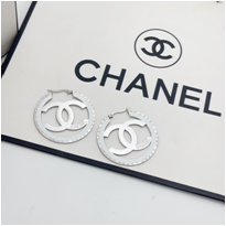 Stainless steel jewelry Earrings wholesale