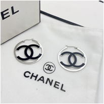 Stainless steel jewelry Earrings wholesale