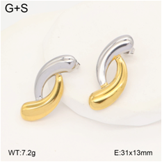 Stainless steel jewelry Earrings wholesale