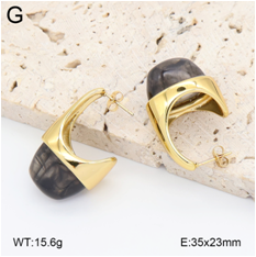 Stainless steel jewelry Earrings wholesale