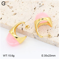 Stainless steel jewelry Earrings wholesale
