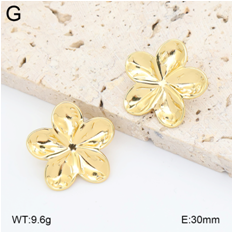 Stainless steel jewelry Earrings wholesale