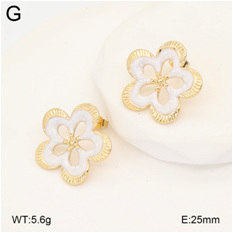 Stainless steel jewelry Earrings wholesale