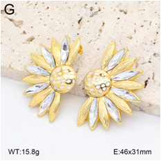 Stainless steel jewelry Earrings wholesale