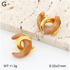 Stainless steel jewelry Earrings wholesale