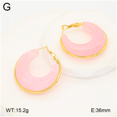 Stainless steel jewelry Earrings wholesale