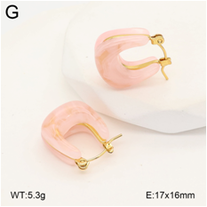 Stainless steel jewelry Earrings wholesale