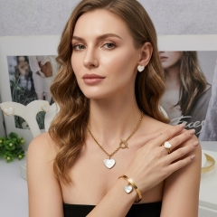Stainless steel jewelry Necklace Earrings Bangle Ring Wholesale for women