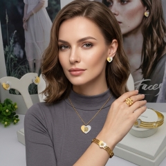 Stainless steel jewelry Necklace Earrings Bangle Ring Wholesale for women