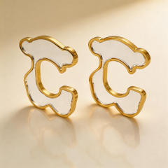 Stainless steel jewelry Earrings wholesale